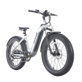 Tundra Electric Bike Electric bike GOTRAX 